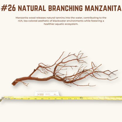 Natural Branching Manzanita | WYSIWYG Pieces