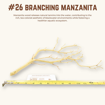 Branching Manzanita | WYSIWYG Pieces