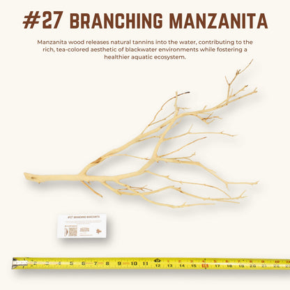 Branching Manzanita | WYSIWYG Pieces