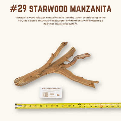 Starwood Manzanita | WYSIWYG Pieces