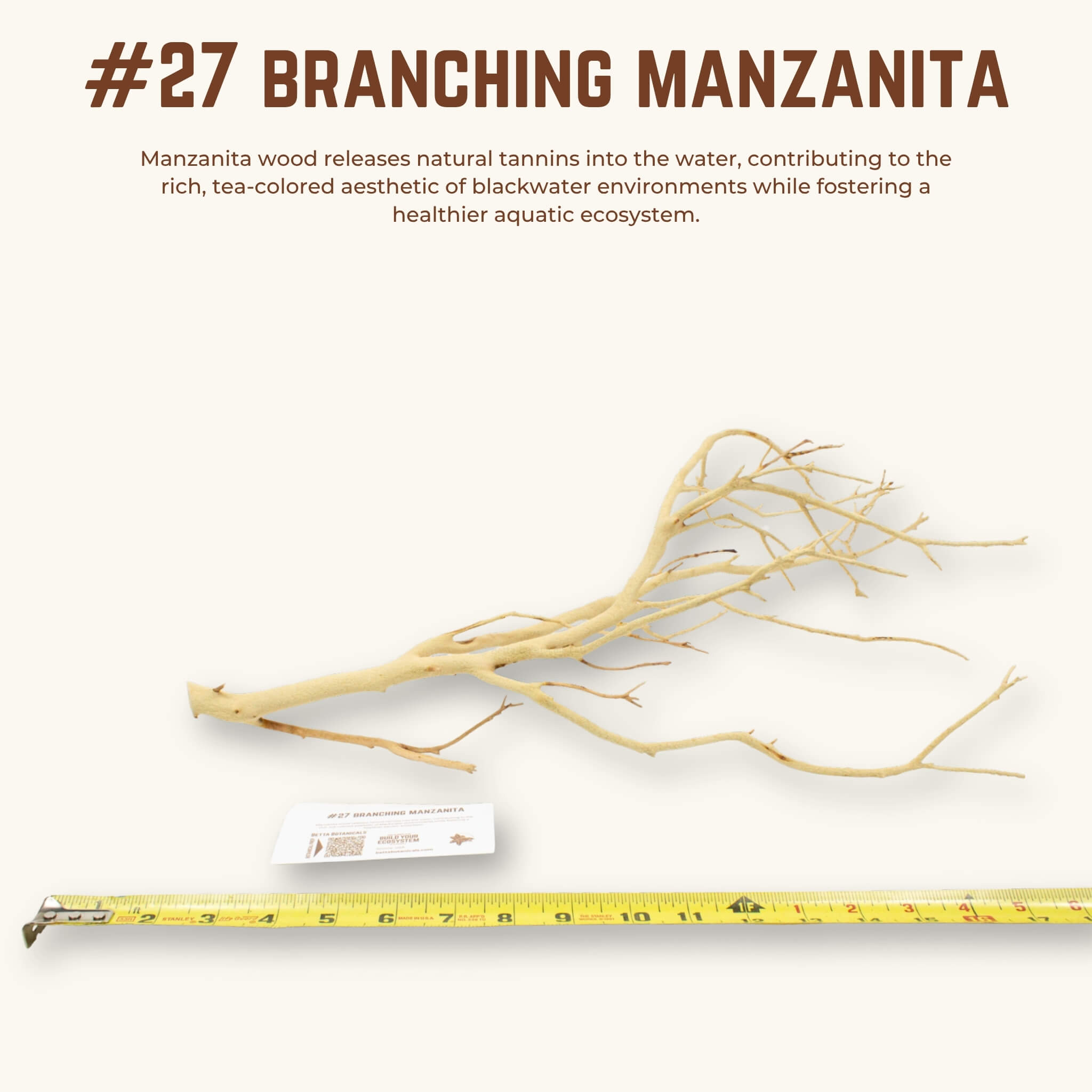 Branching Manzanita | WYSIWYG Pieces
