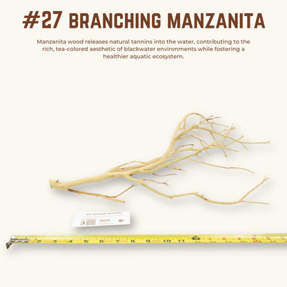 Branching Manzanita | WYSIWYG Pieces