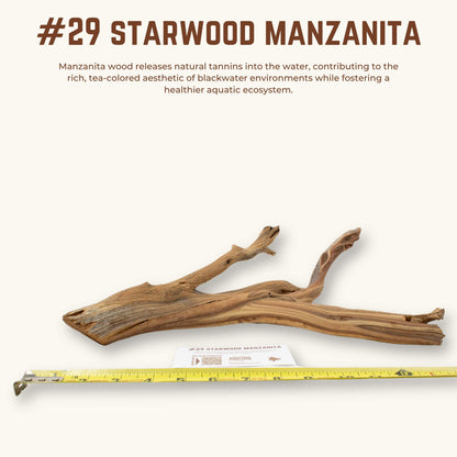 Starwood Manzanita | WYSIWYG Pieces