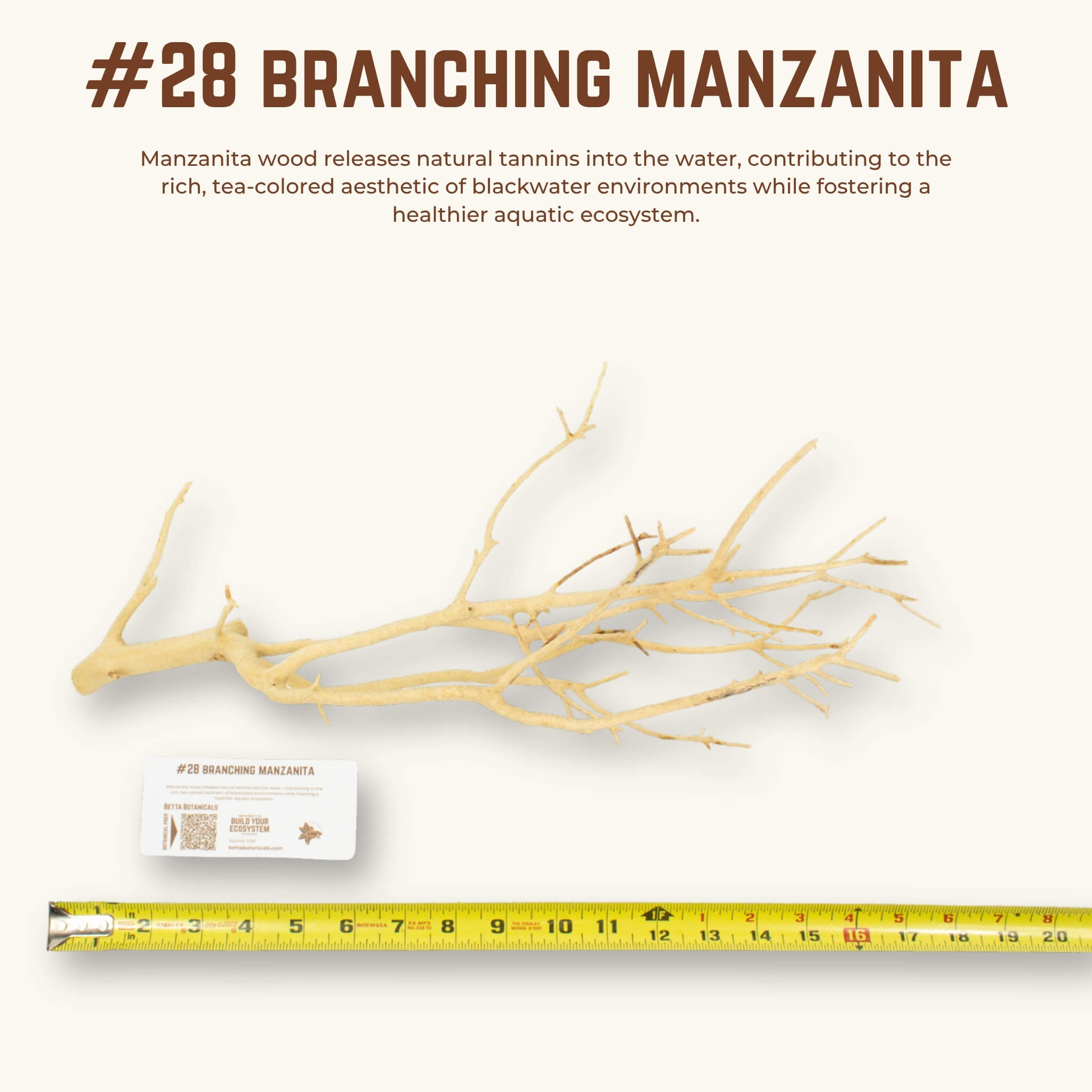 Branching Manzanita | WYSIWYG Pieces