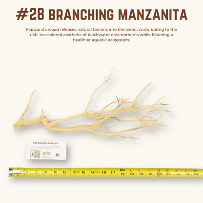 Branching Manzanita | WYSIWYG Pieces