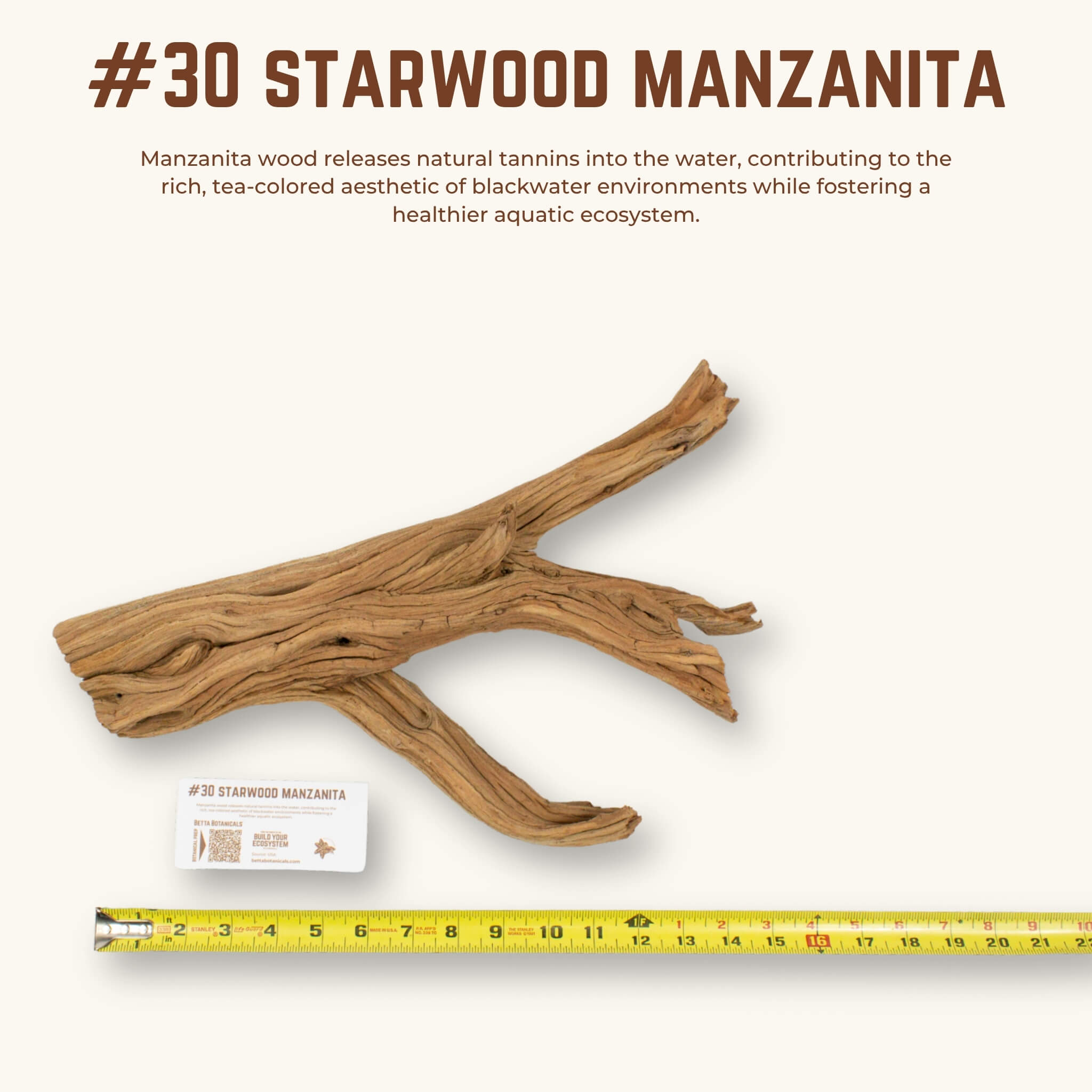 Starwood Manzanita | WYSIWYG Pieces