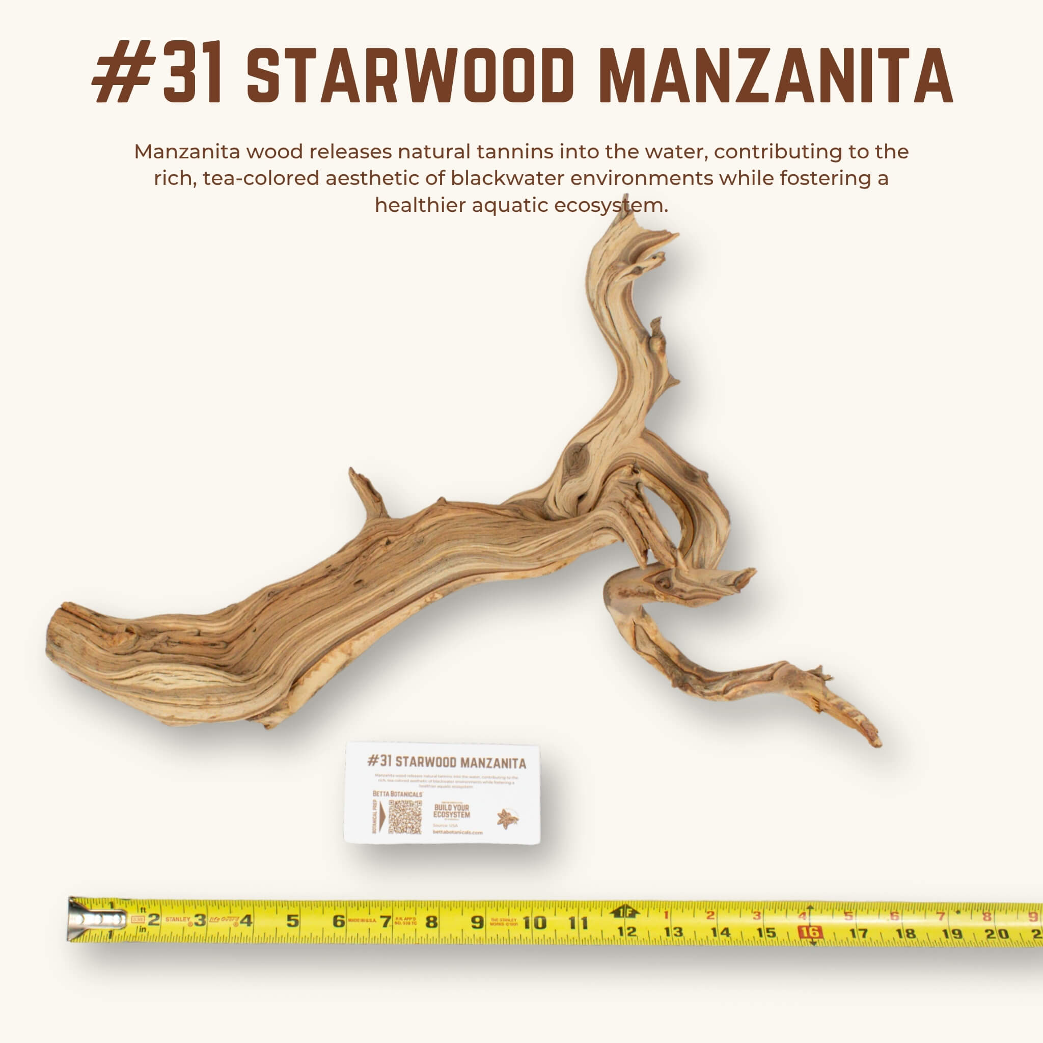 Starwood Manzanita | WYSIWYG Pieces