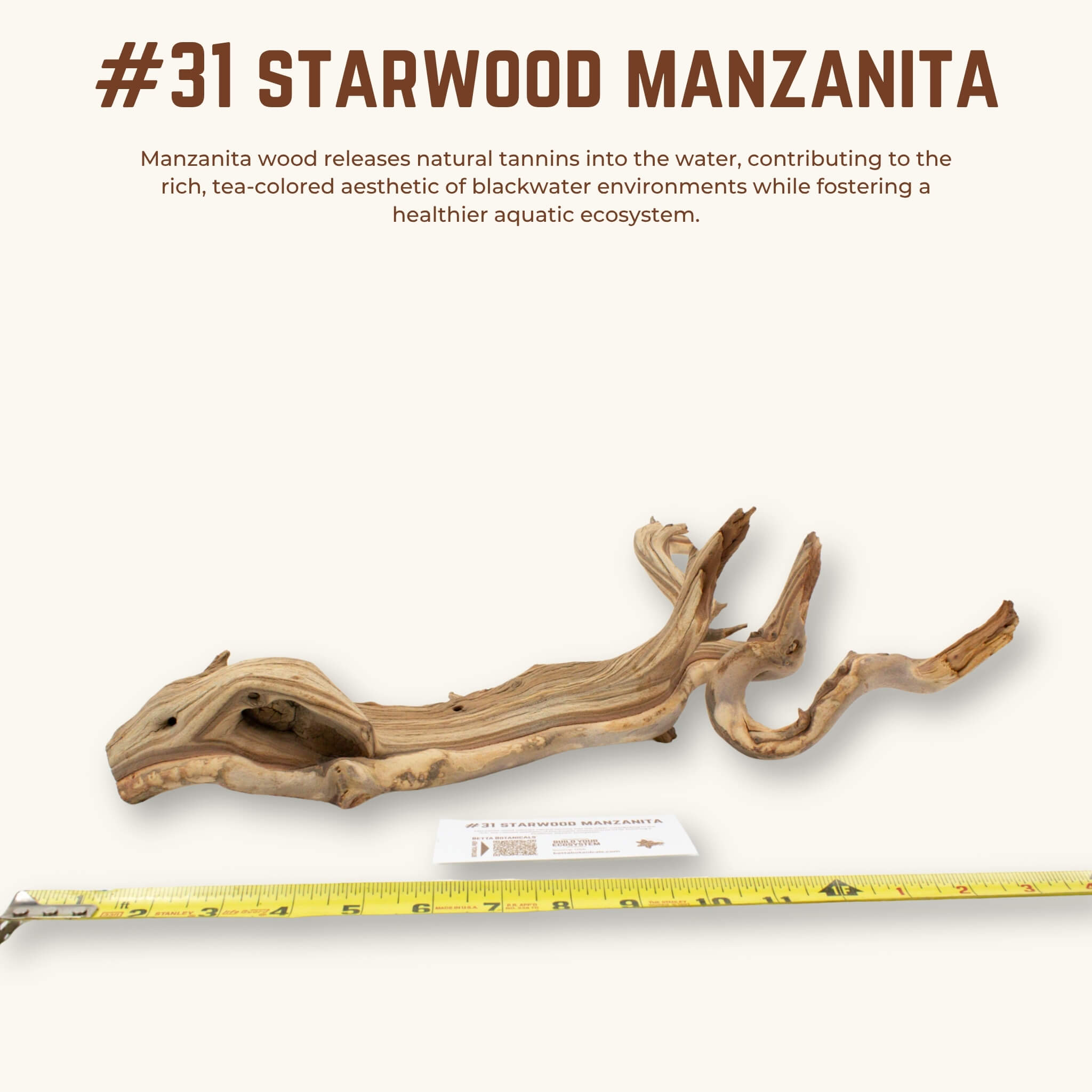 Starwood Manzanita | WYSIWYG Pieces