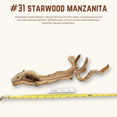 Starwood Manzanita | WYSIWYG Pieces