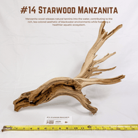 'Starwood' Manzanita | WYSIWYG Pieces