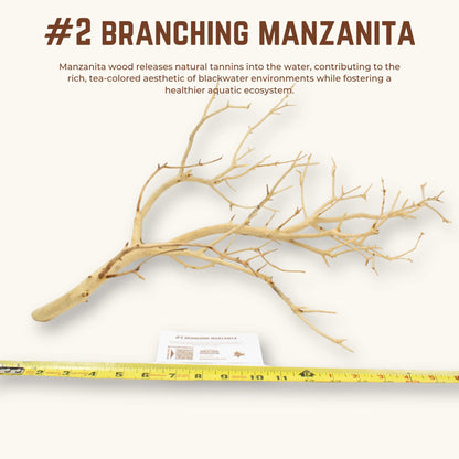 Branching Manzanita | WYSIWYG Pieces