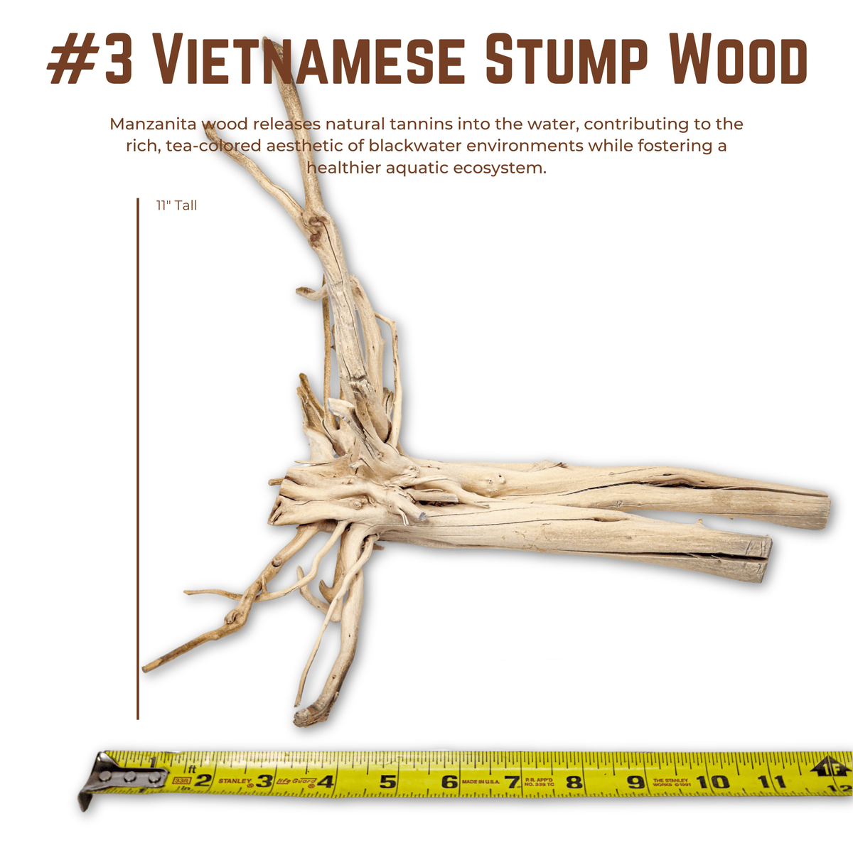 Vietnamese Stump Wood | WYSIWYG Pieces