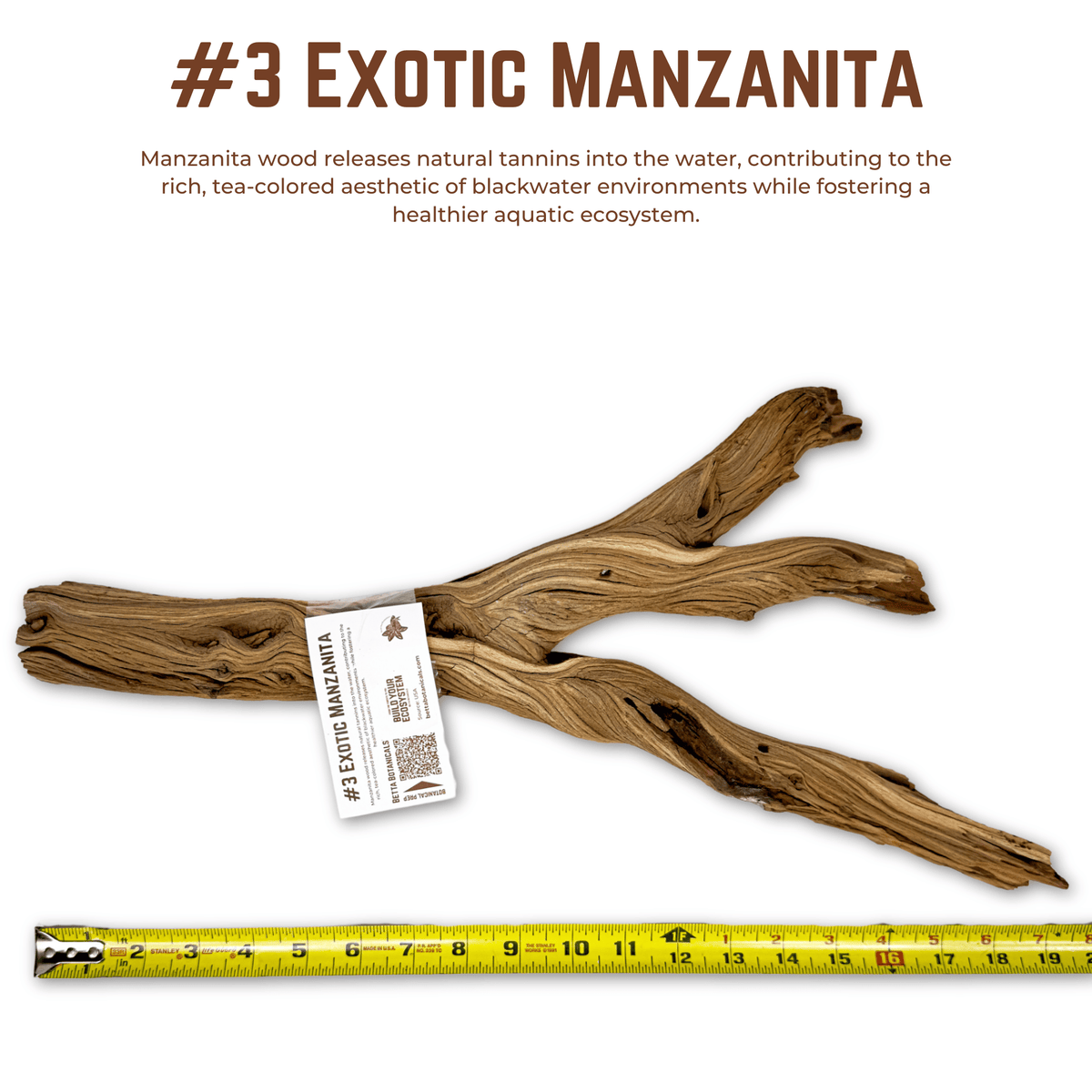 Exotic Manzanita | WYSIWYG Pieces