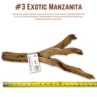 Exotic Manzanita | WYSIWYG Pieces