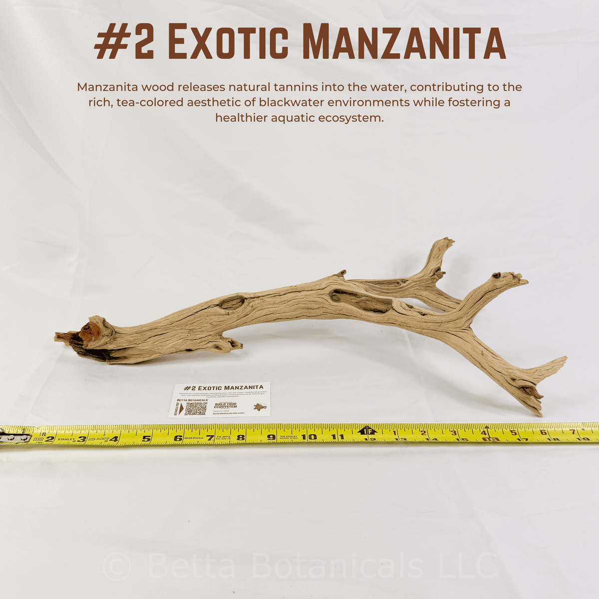 Exotic Manzanita | WYSIWYG Pieces