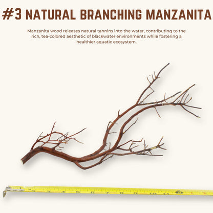 Natural Branching Manzanita | WYSIWYG Pieces