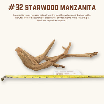 Starwood Manzanita | WYSIWYG Pieces