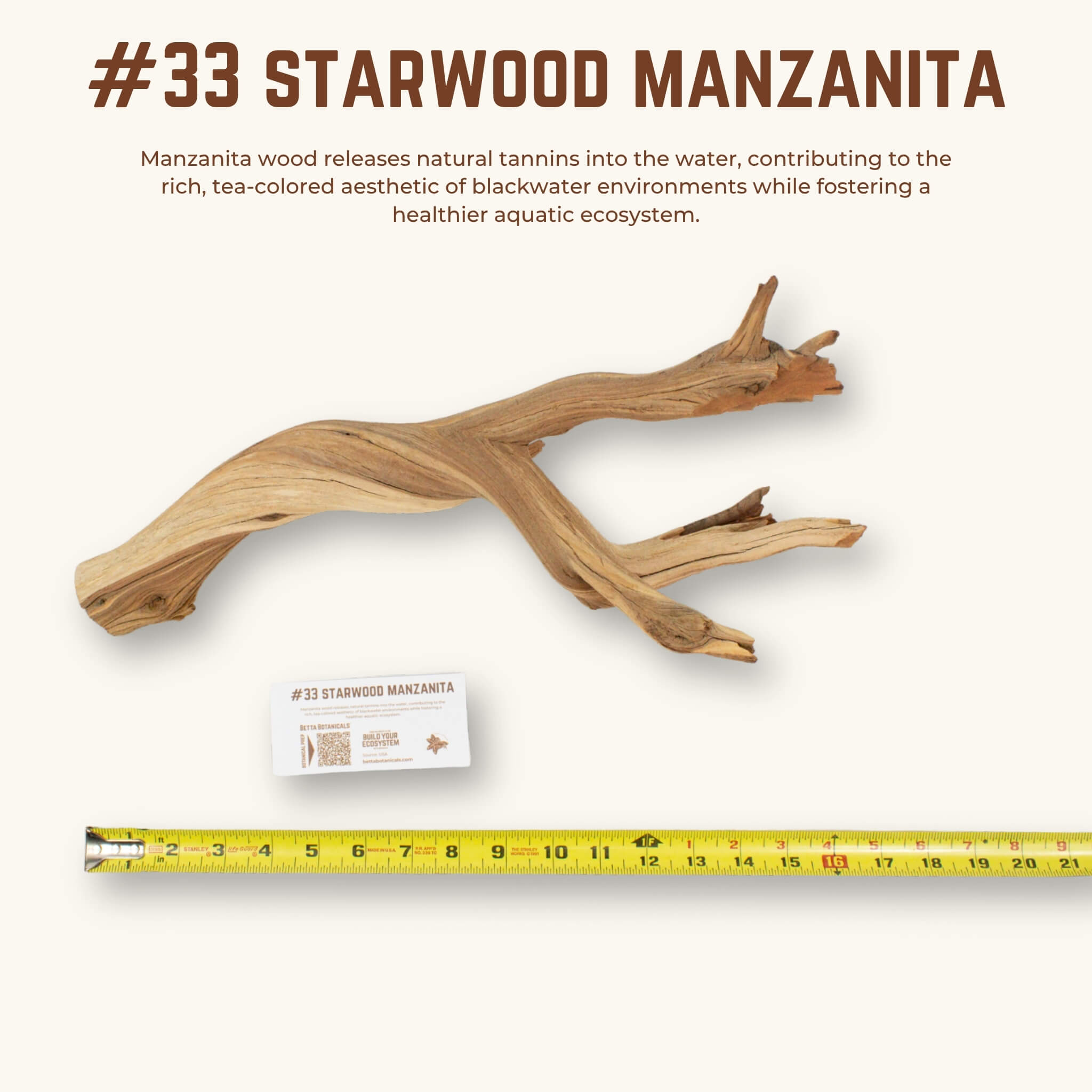 Starwood Manzanita | WYSIWYG Pieces