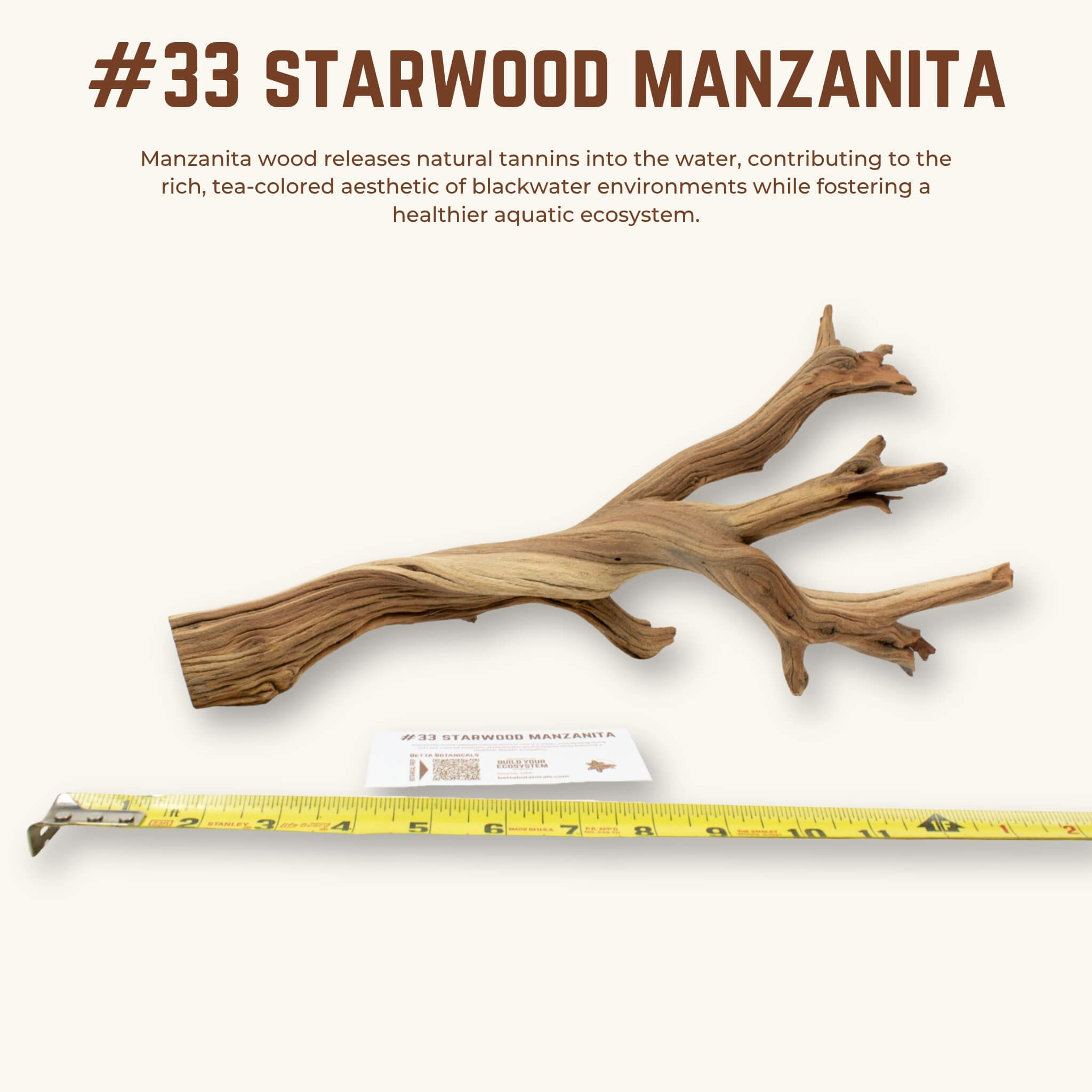 Starwood Manzanita | WYSIWYG Pieces