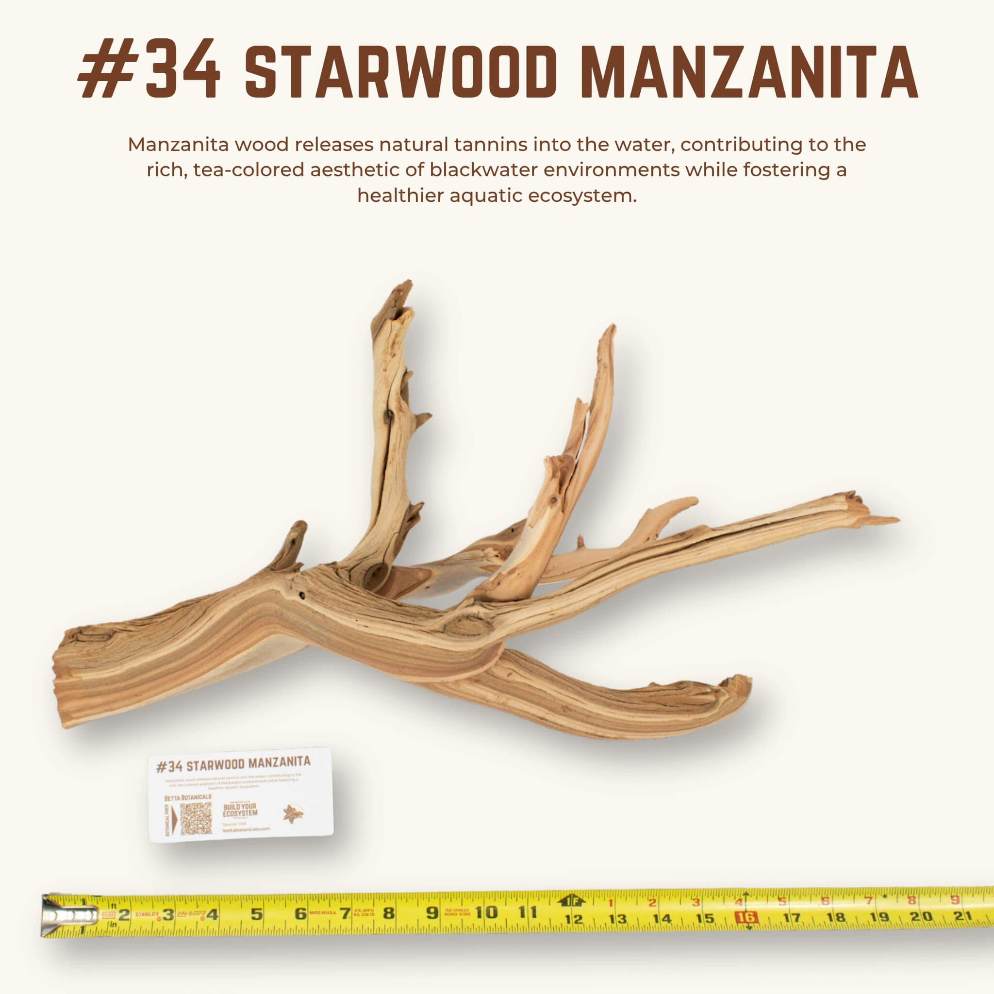 Starwood Manzanita | WYSIWYG Pieces