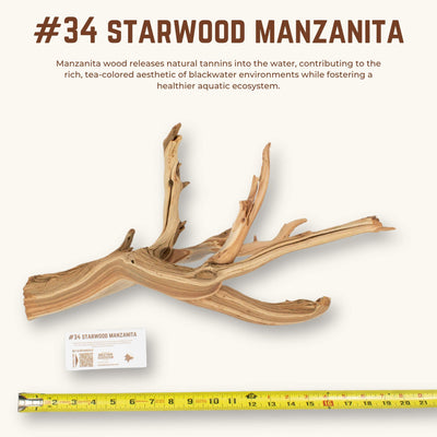 Starwood Manzanita | WYSIWYG Pieces