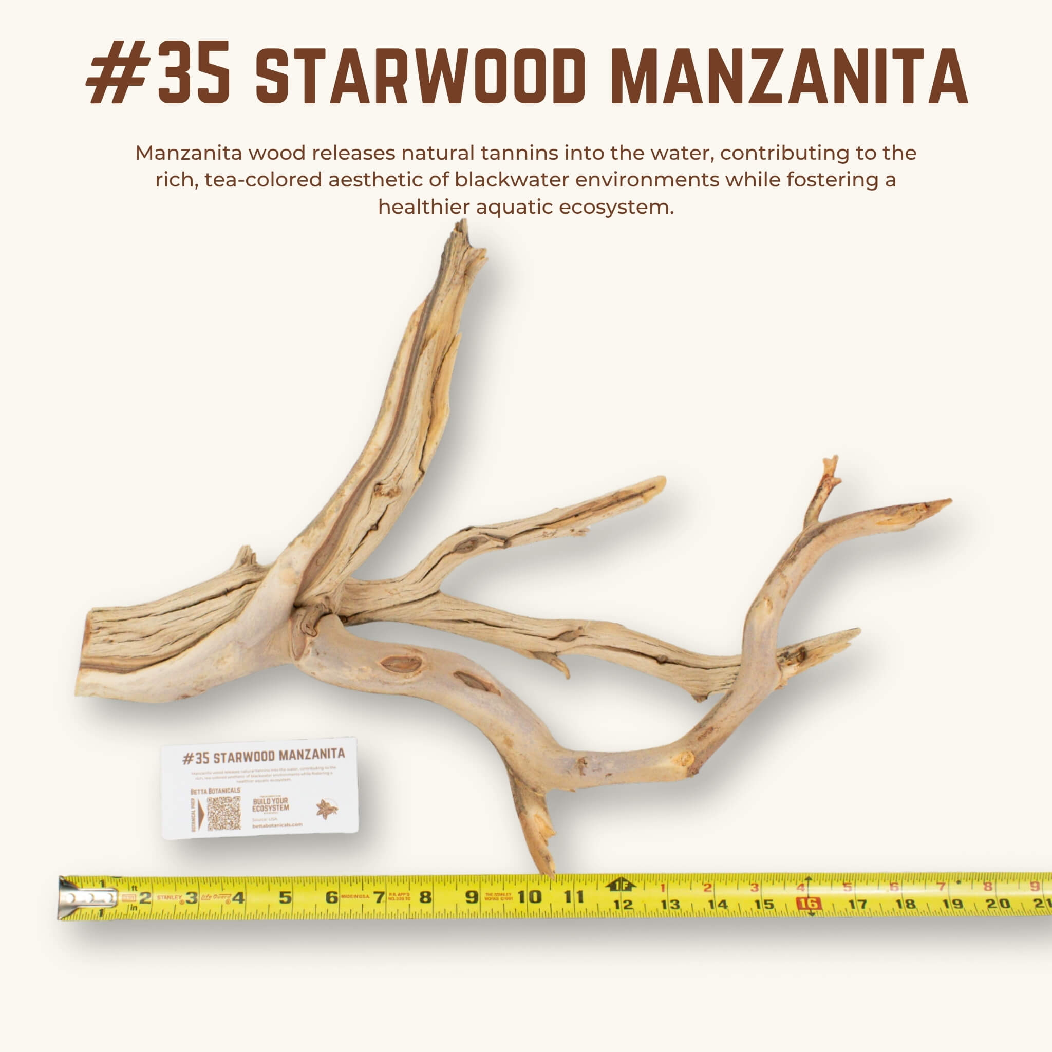 Starwood Manzanita | WYSIWYG Pieces