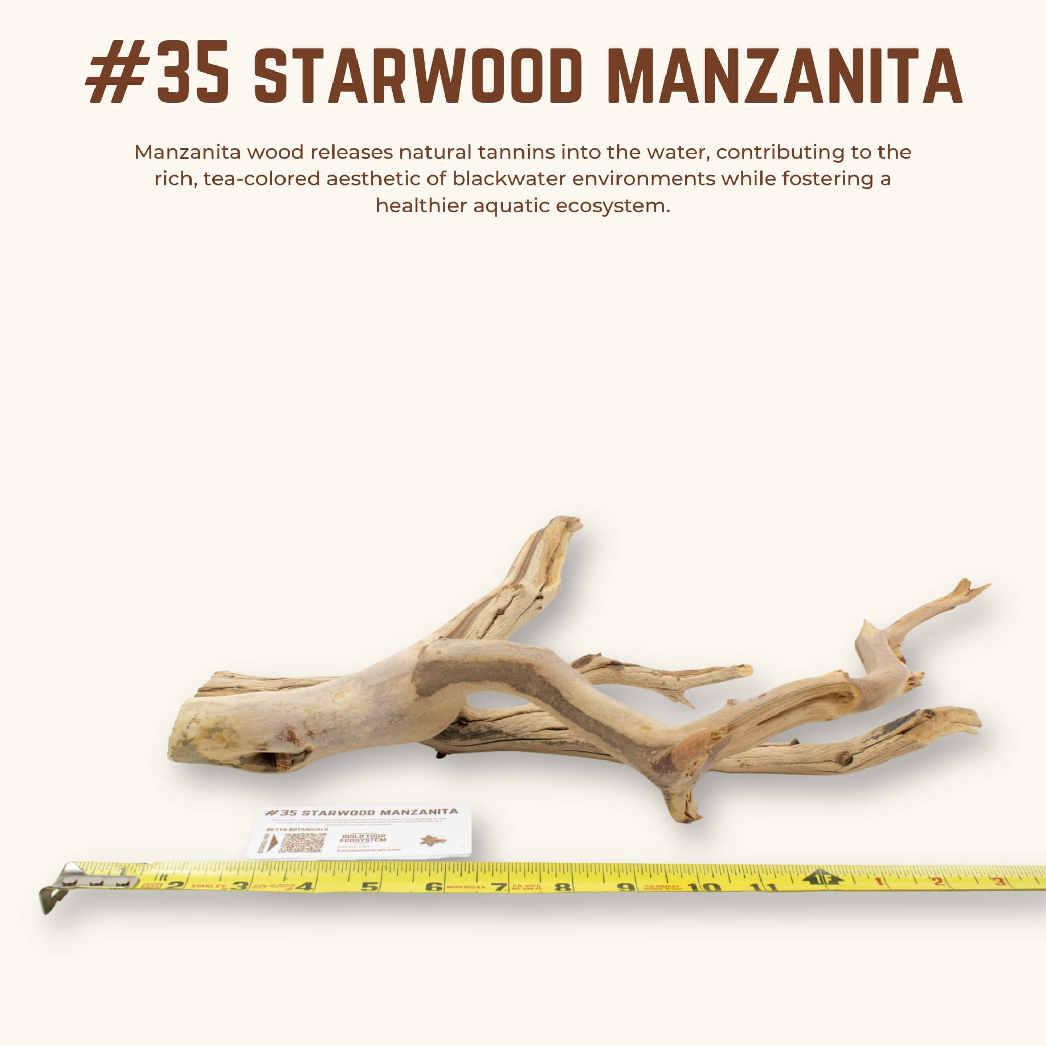 Starwood Manzanita | WYSIWYG Pieces