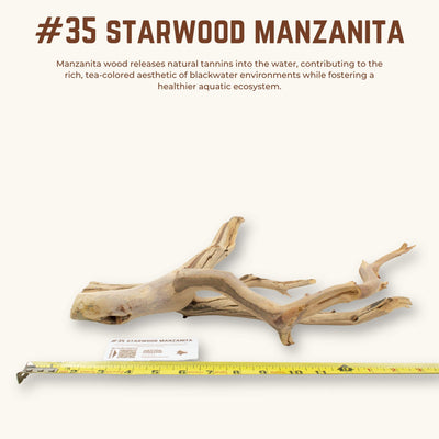 Starwood Manzanita | WYSIWYG Pieces