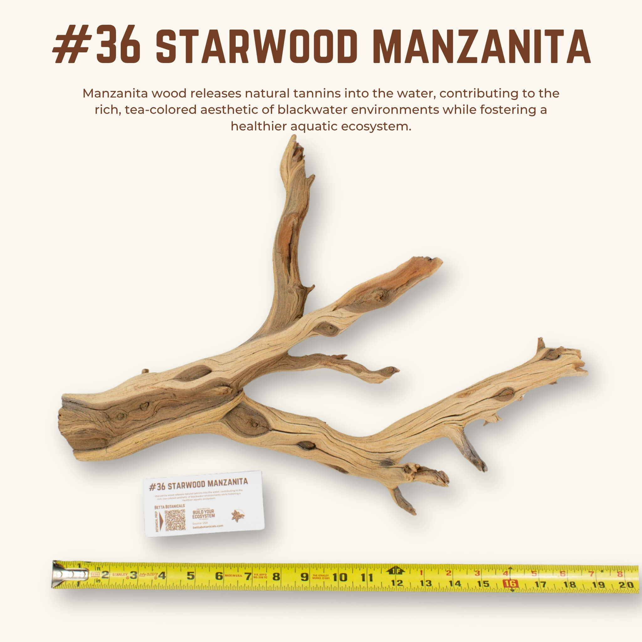 Starwood Manzanita | WYSIWYG Pieces