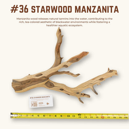 Starwood Manzanita | WYSIWYG Pieces