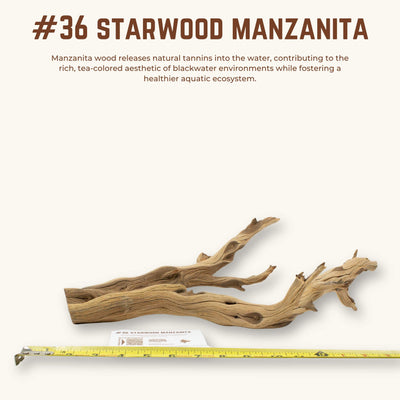 Starwood Manzanita | WYSIWYG Pieces