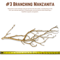 Branching Manzanita | WYSIWYG Pieces