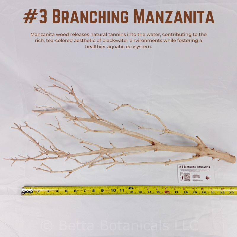 Branching Manzanita | WYSIWYG Pieces