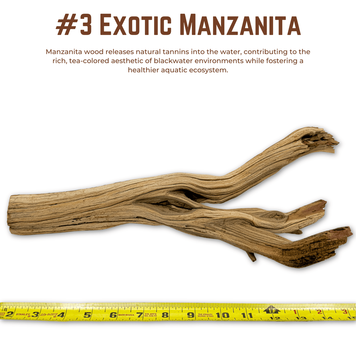 Exotic Manzanita | WYSIWYG Pieces