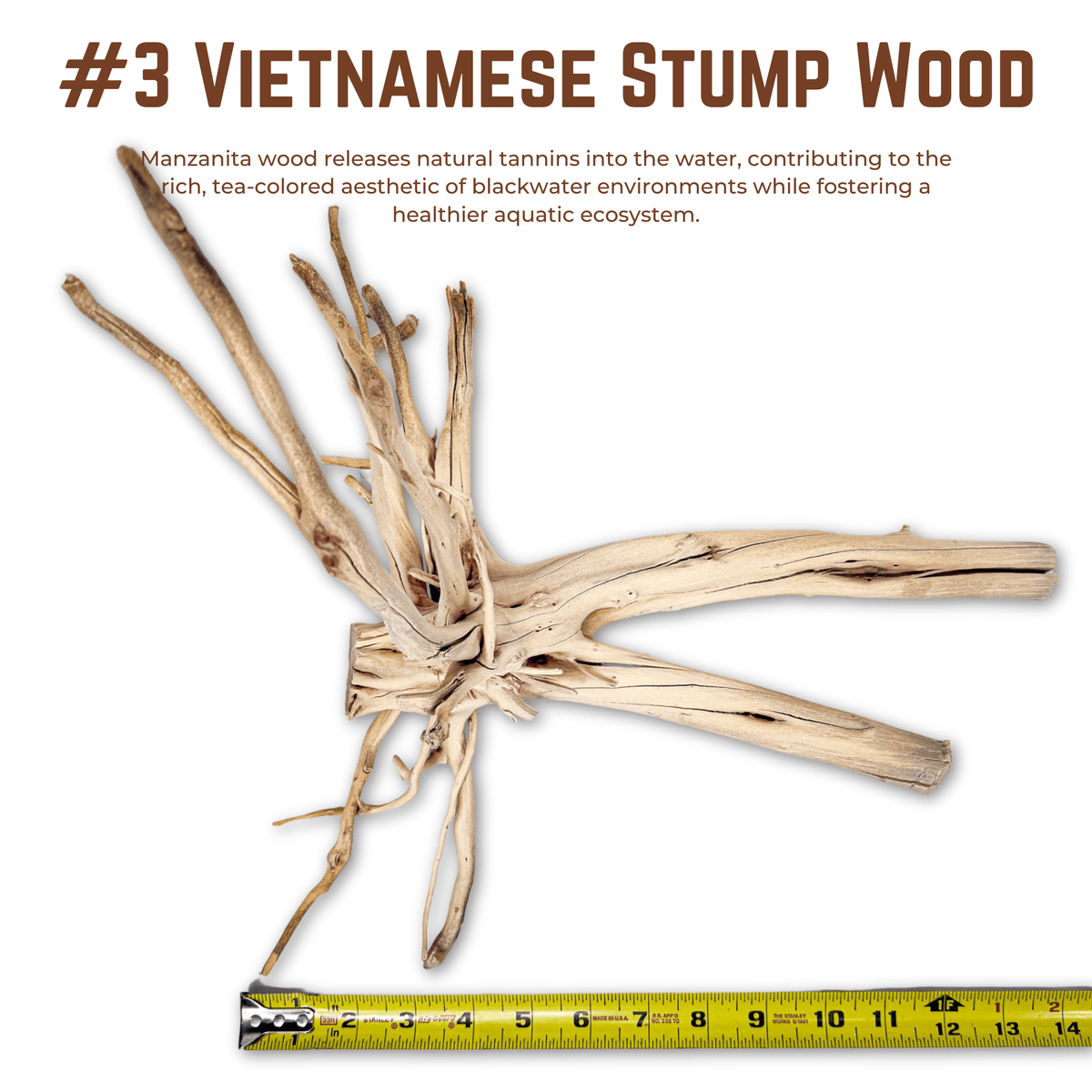 Vietnamese Stump Wood | WYSIWYG Pieces