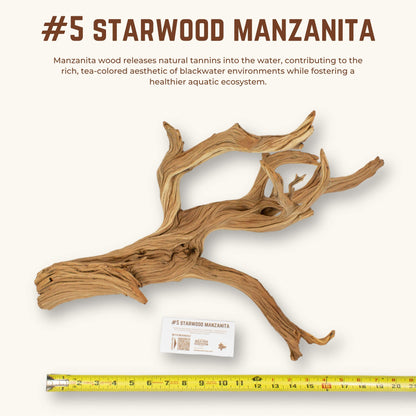Starwood Manzanita | WYSIWYG Pieces