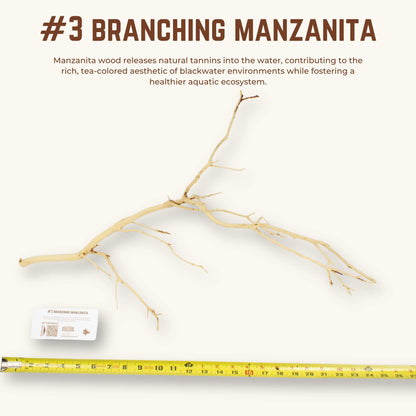 Branching Manzanita | WYSIWYG Pieces