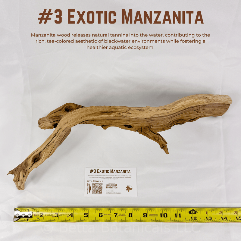 Exotic Manzanita | WYSIWYG Pieces