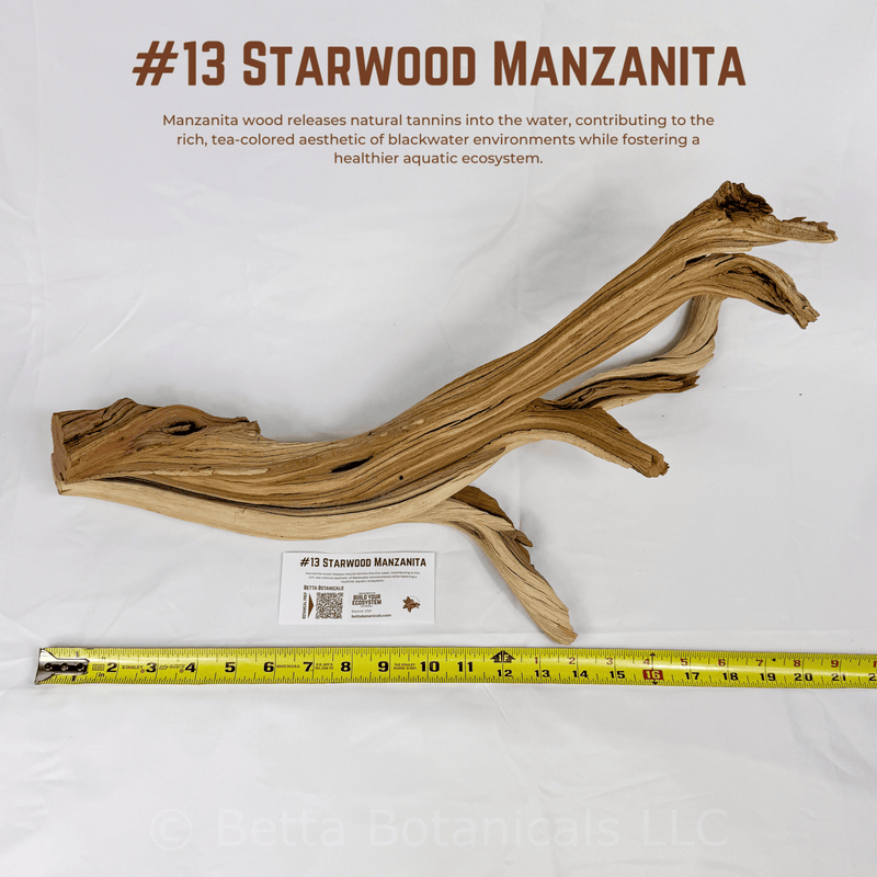 'Starwood' Manzanita | WYSIWYG Pieces