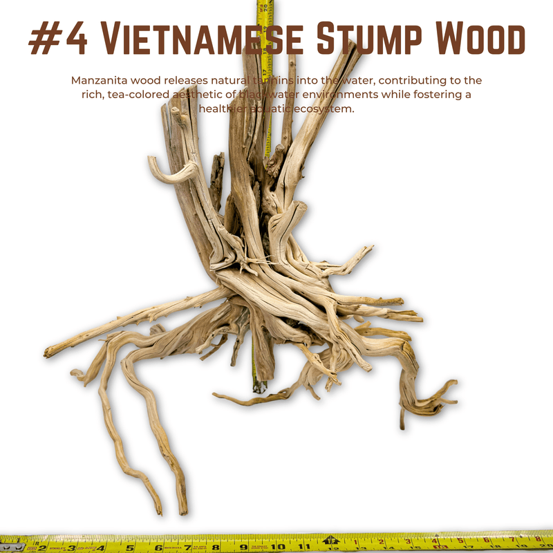 Vietnamese Stump Wood | WYSIWYG Pieces