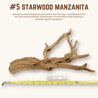 Starwood Manzanita | WYSIWYG Pieces
