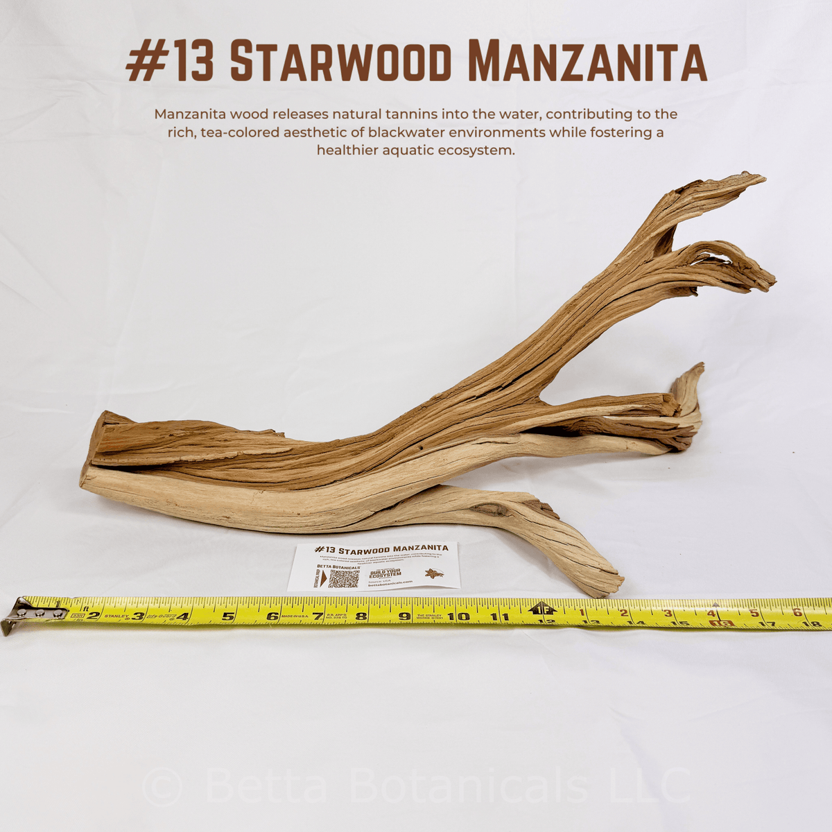 'Starwood' Manzanita | WYSIWYG Pieces