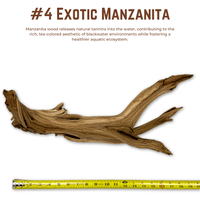 Exotic Manzanita | WYSIWYG Pieces