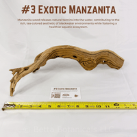 Exotic Manzanita | WYSIWYG Pieces