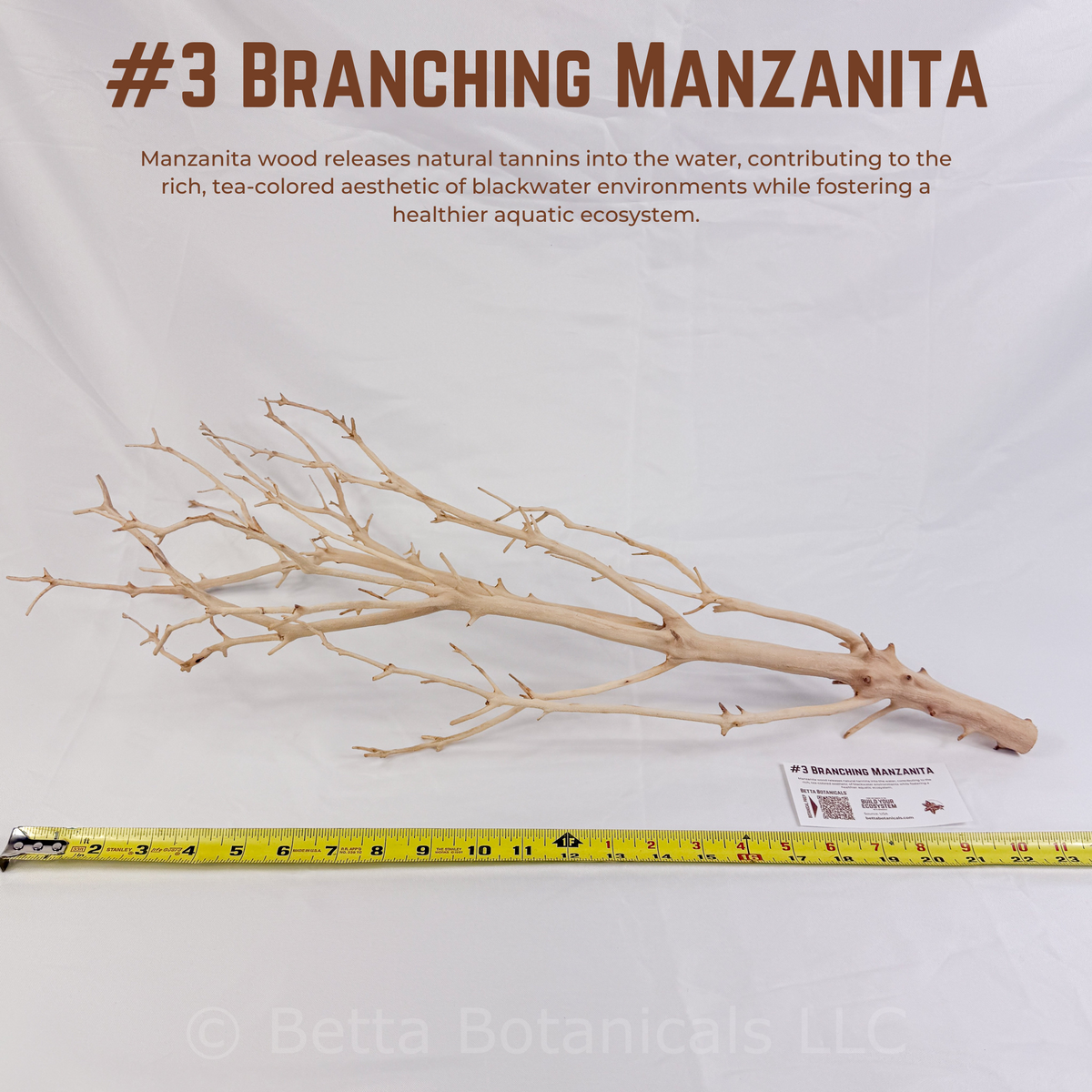 Branching Manzanita | WYSIWYG Pieces