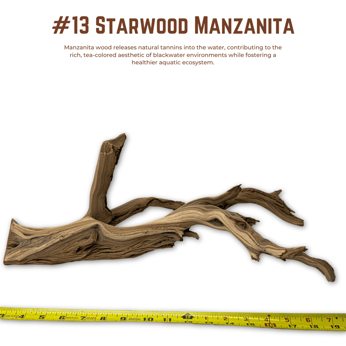 'Starwood' Manzanita | WYSIWYG Pieces