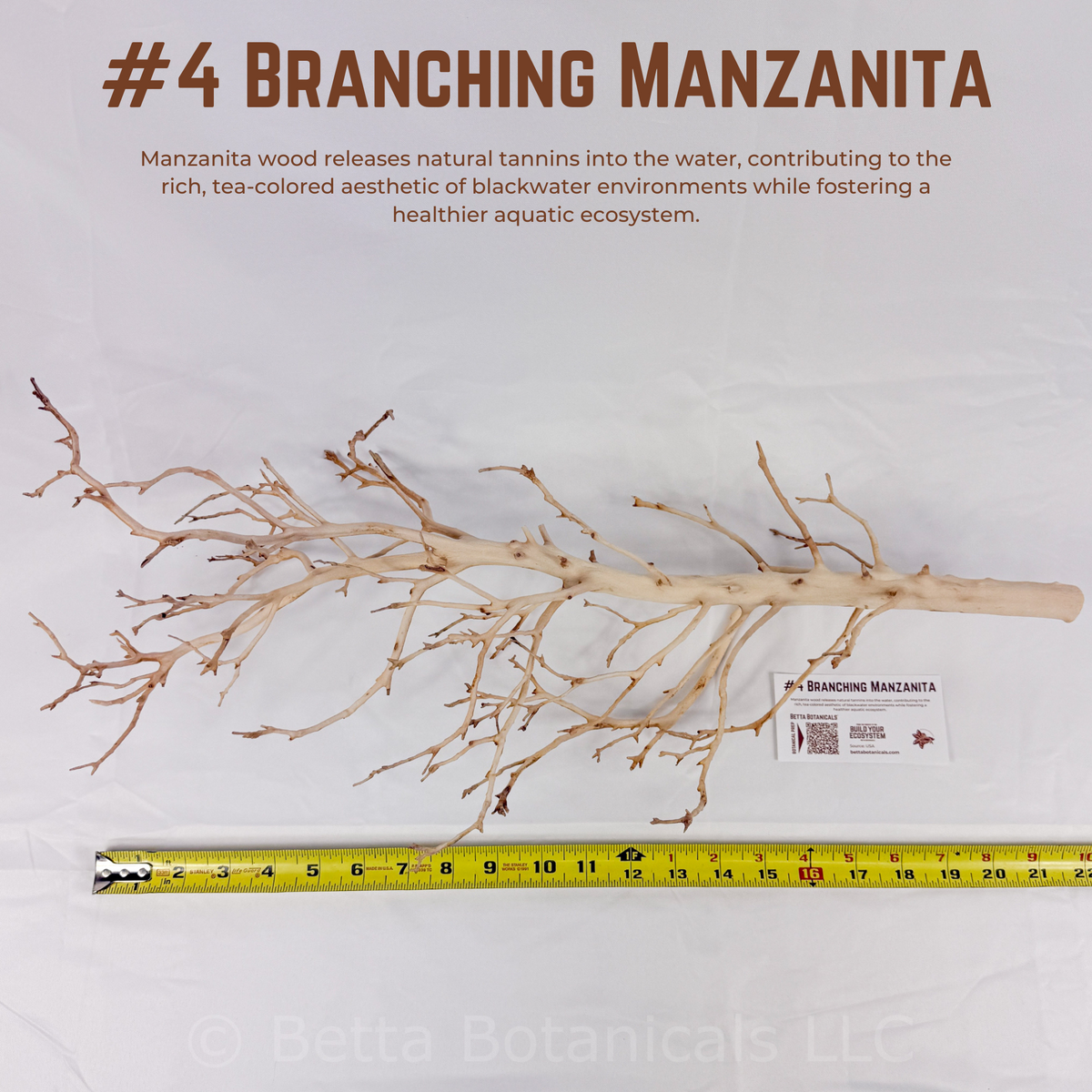 Branching Manzanita | WYSIWYG Pieces