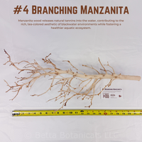 Branching Manzanita | WYSIWYG Pieces