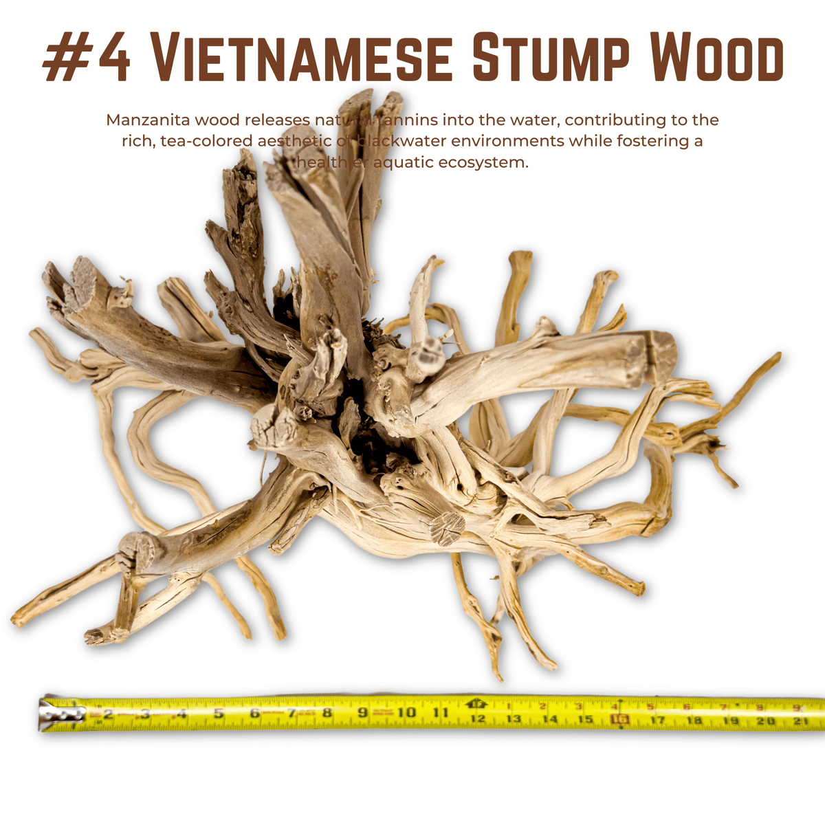 Vietnamese Stump Wood | WYSIWYG Pieces