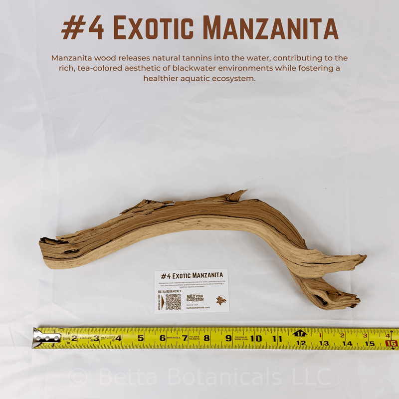 Exotic Manzanita | WYSIWYG Pieces